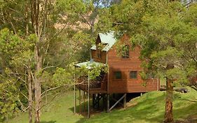Hidden Haven Barrington Tops